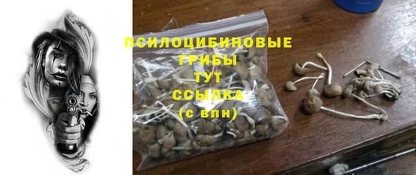 мдма Богданович
