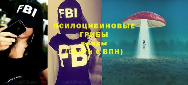 каннабис Богородицк